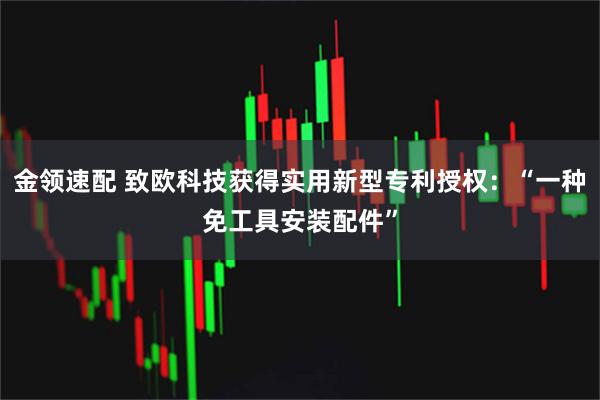金领速配 致欧科技获得实用新型专利授权：“一种免工具安装配件”