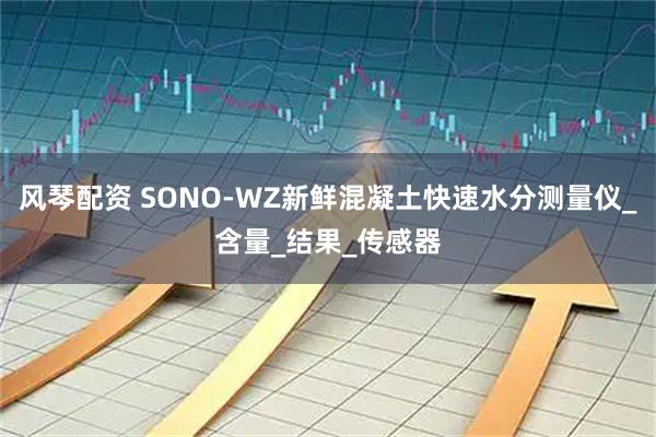 风琴配资 SONO-WZ新鲜混凝土快速水分测量仪_含量_结果_传感器