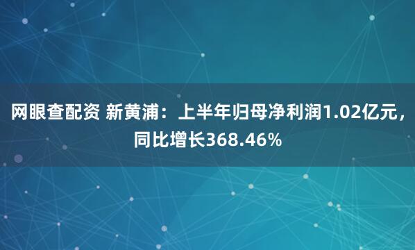 网眼查配资 新黄浦：上半年归母净利润1.02亿元，同比增长368.46%