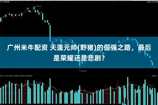 广州米牛配资 天蓬元帅(野猪)的倔强之路，最后是荣耀还是悲剧？