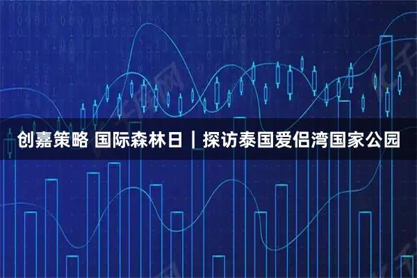 创嘉策略 国际森林日｜探访泰国爱侣湾国家公园